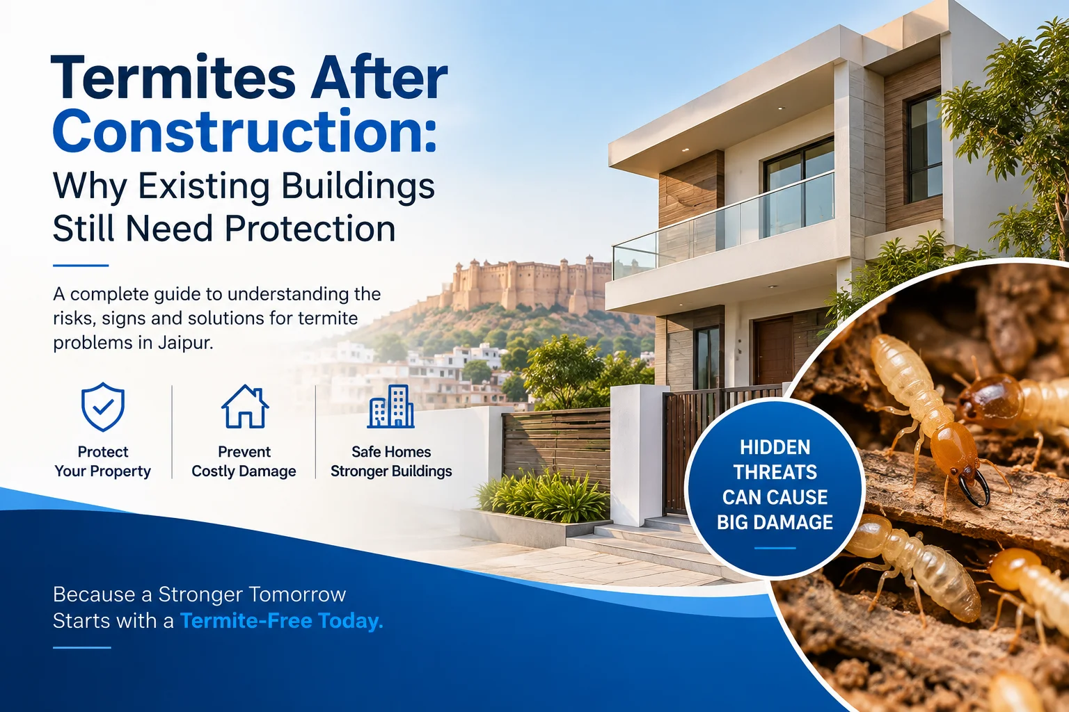 termites-after-construction-why-existing-buildings-still-need-protection